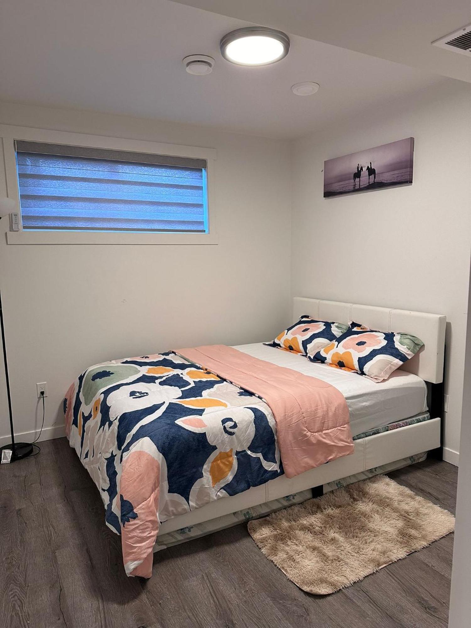 Brand New 1 Bedroom Basement Suite. Wi-fi,netflix Appartement Edmonton